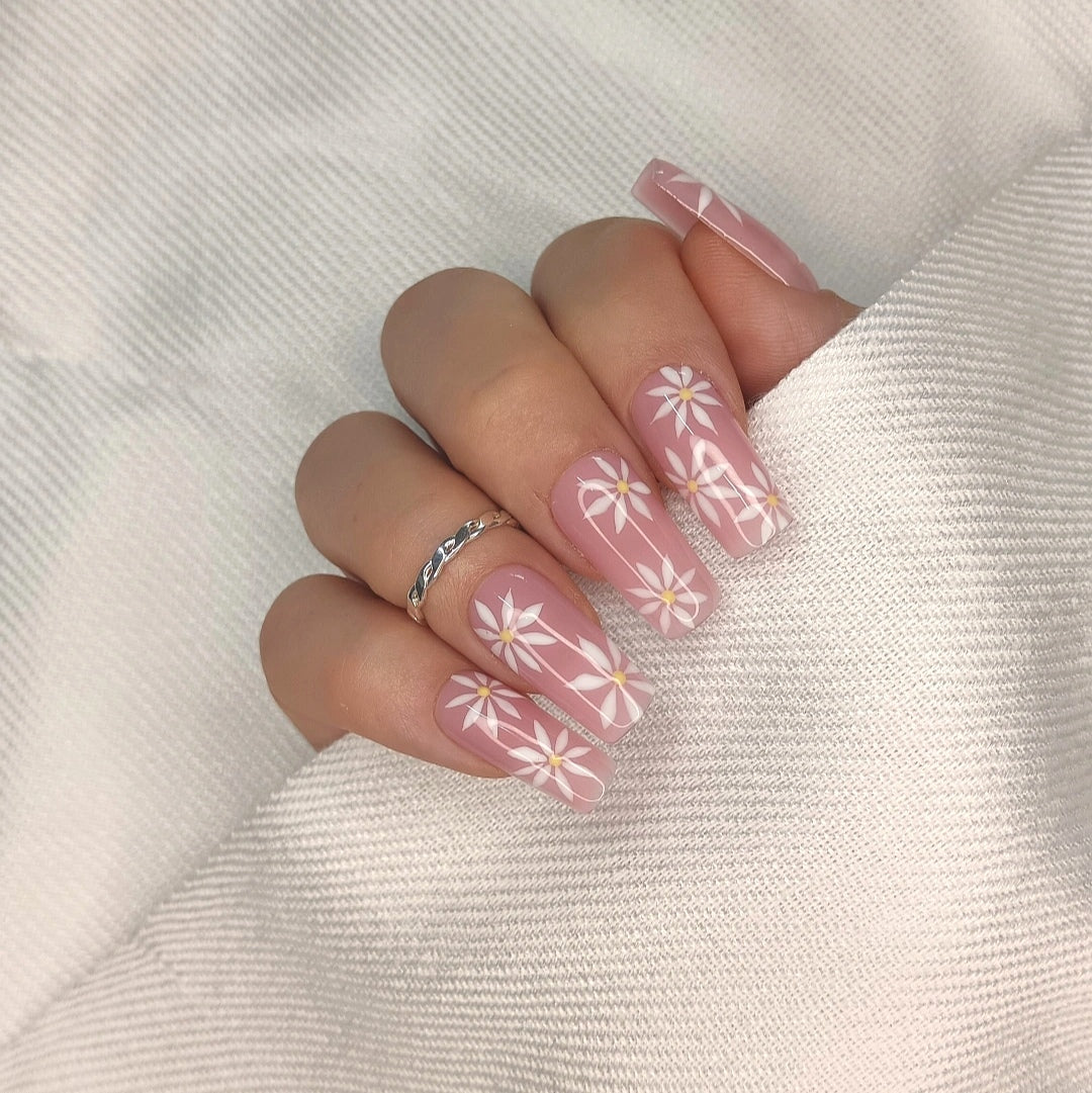 Daisy Glow