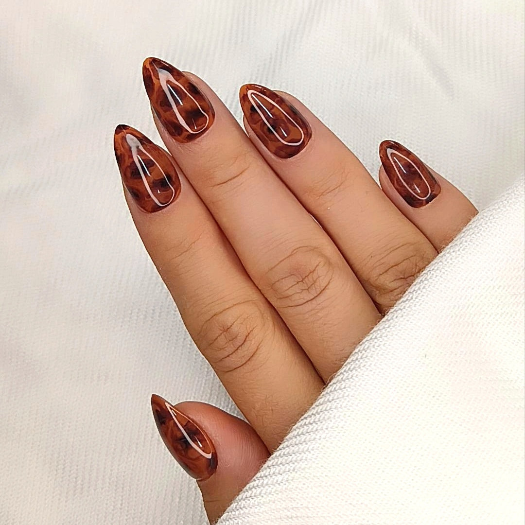 Tortoise Shell