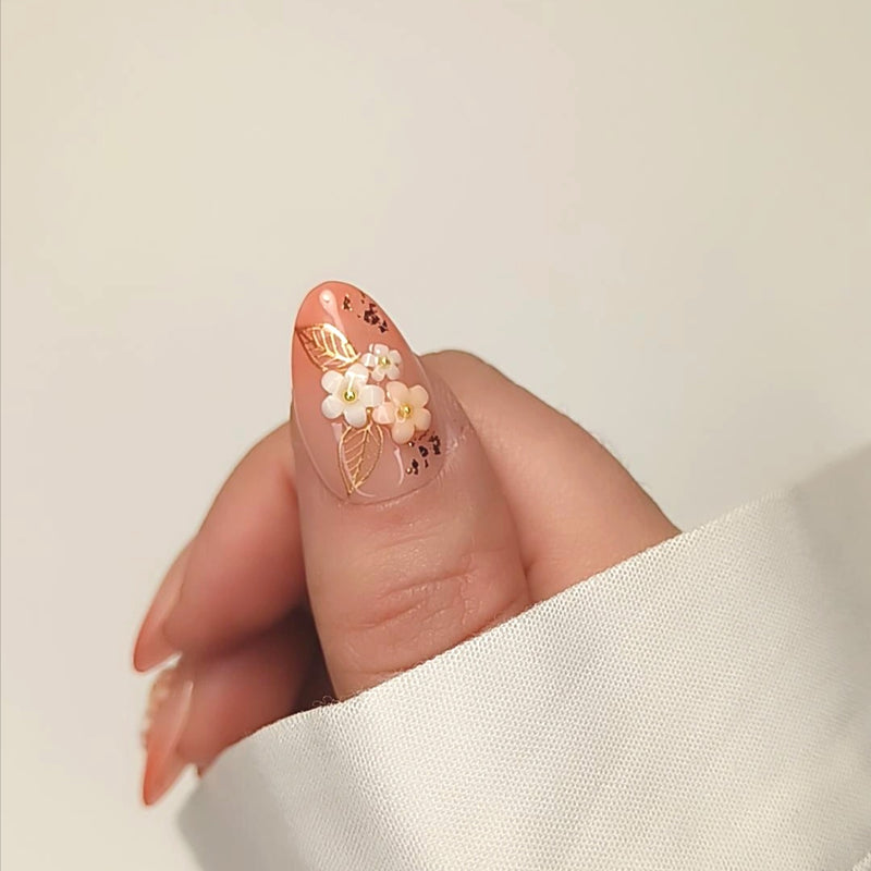 Apricot Muse