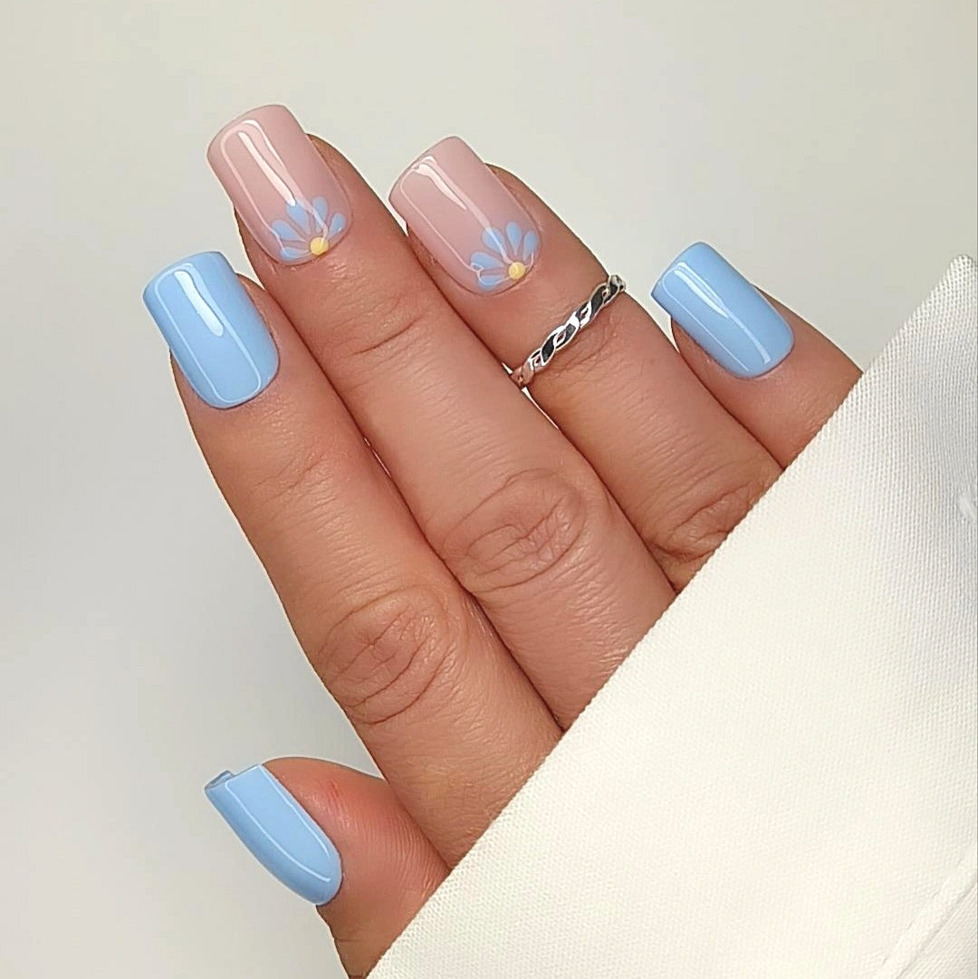 Blue Daisy