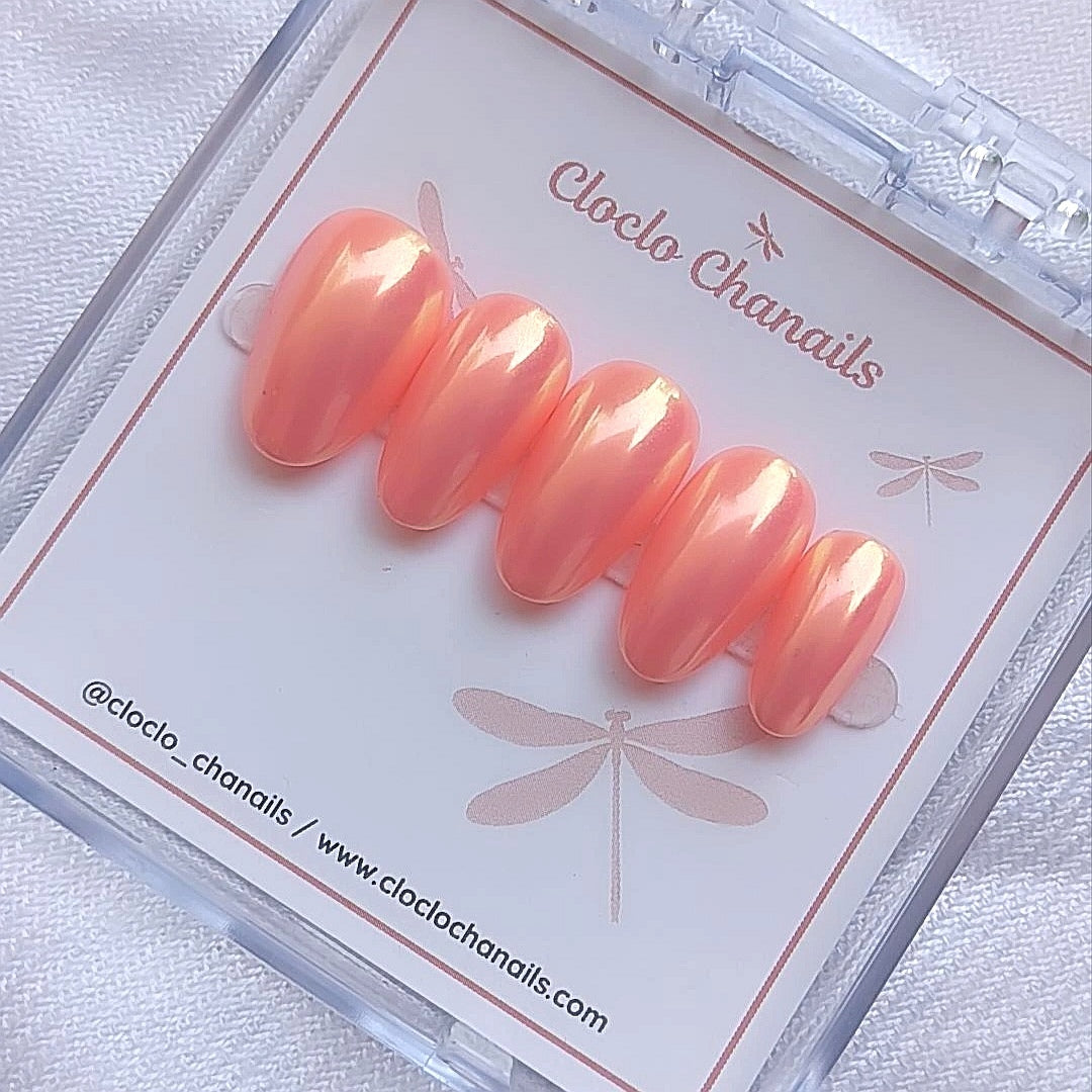 Coral Paradise