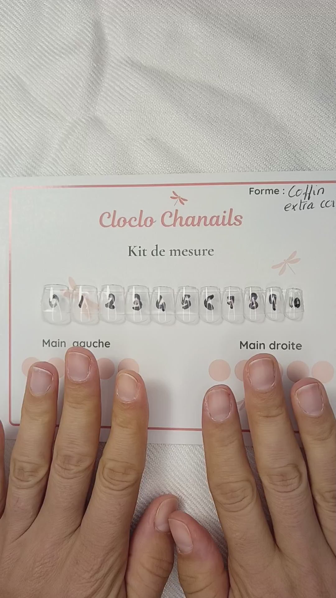 Charger la vidéo : 