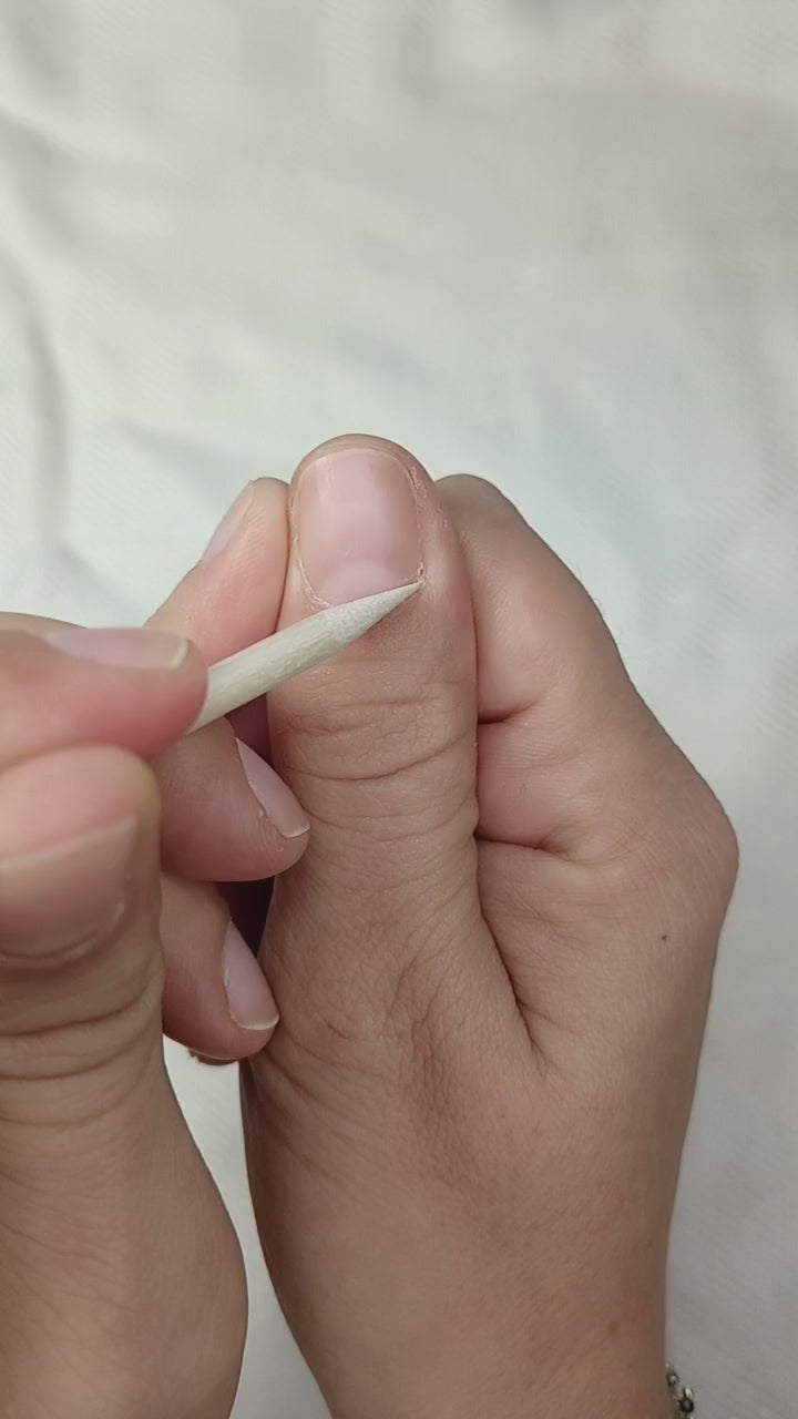 Charger la vidéo : 