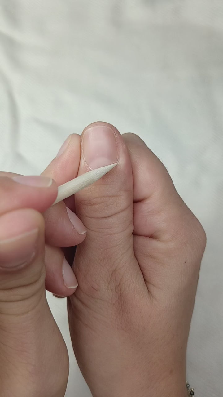 Charger la vidéo : 